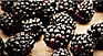 blackberrygrape