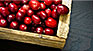 cranberry