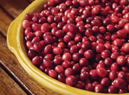 CranberryLambicthetools