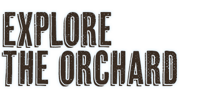 ExploreTheOrchard SliderType rev
