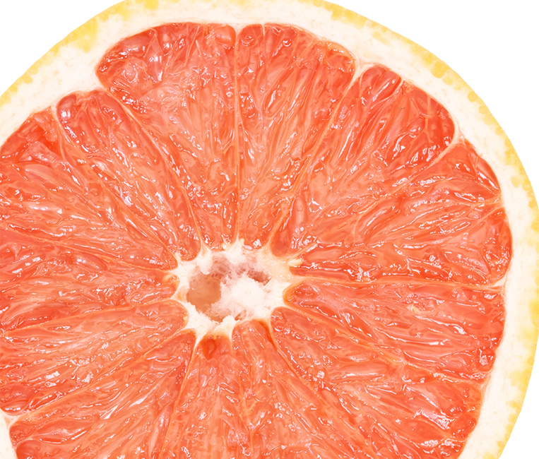 grapefruit bg btm m grapefruit bg btm m