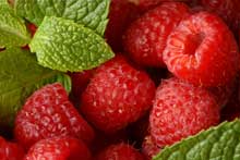 PairBeerWithRaspberries