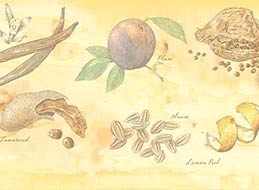seasonal story1
