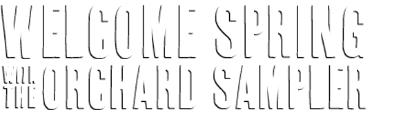 SummerVP Slider textLG